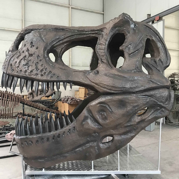 霸王龍頭骨化石-仿真恐龍化石制作 