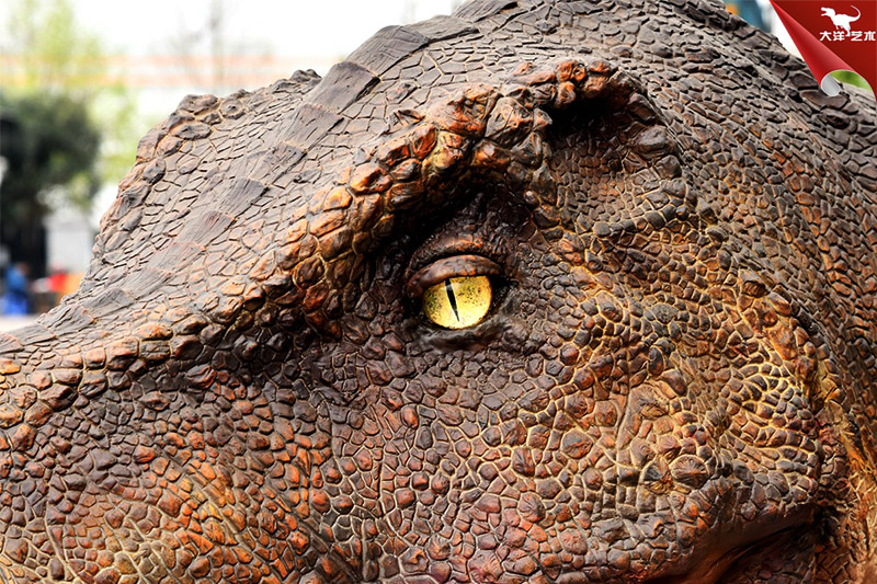 仿真恐龍，霸王龍龍頭模型