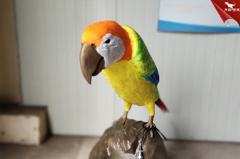 仿真鸚鵡，仿真鳥模型，仿真動(dòng)物模型制作